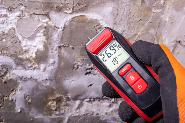 Best Mold Removal and Inspection  in Beaver Dam, AZ
