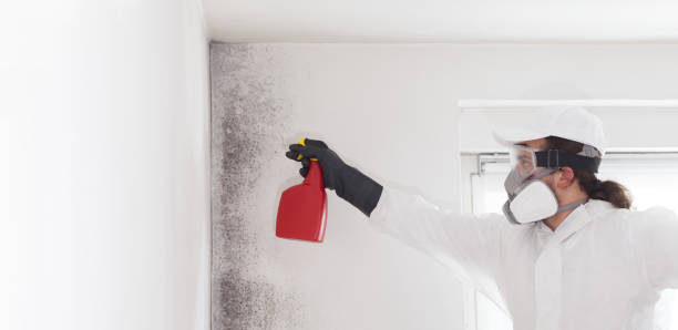 Crawl Space Mold Removal in Beaver Dam, AZ